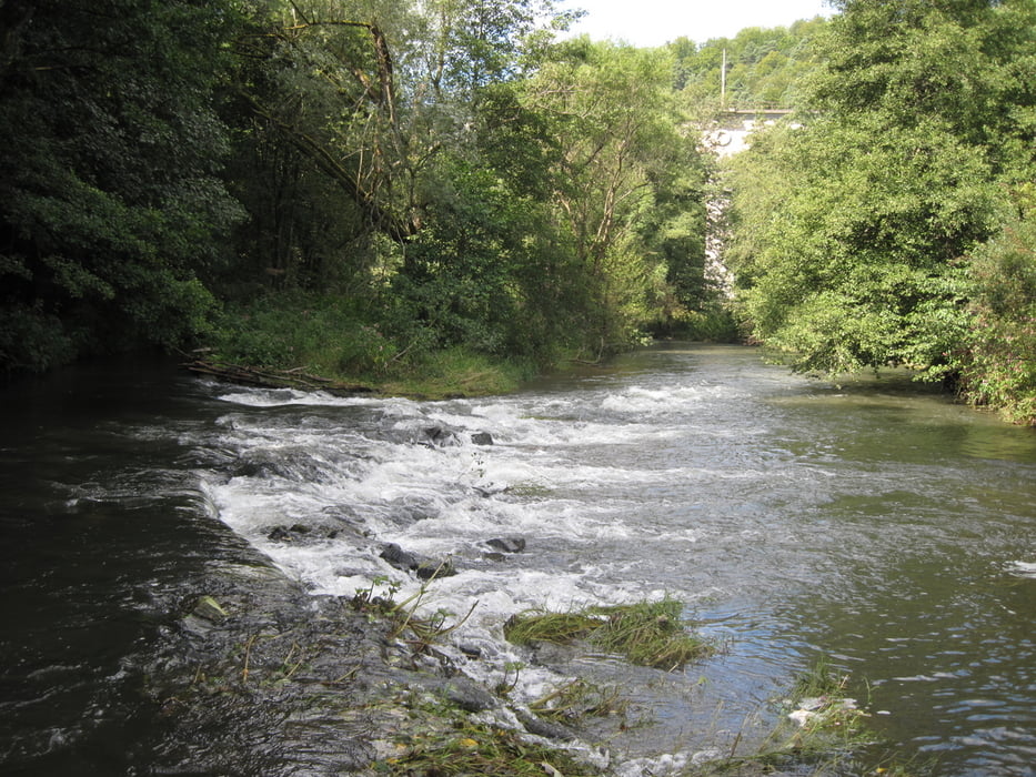 Boot Und Kanu Sinn Jossa Nach Burgsinn Tour